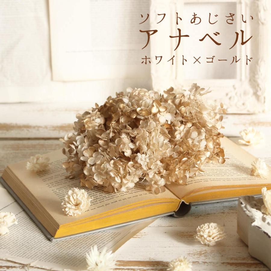 プリザーブドフラワー 花材 即日出荷 ソフトあじさいアナベル ドライ