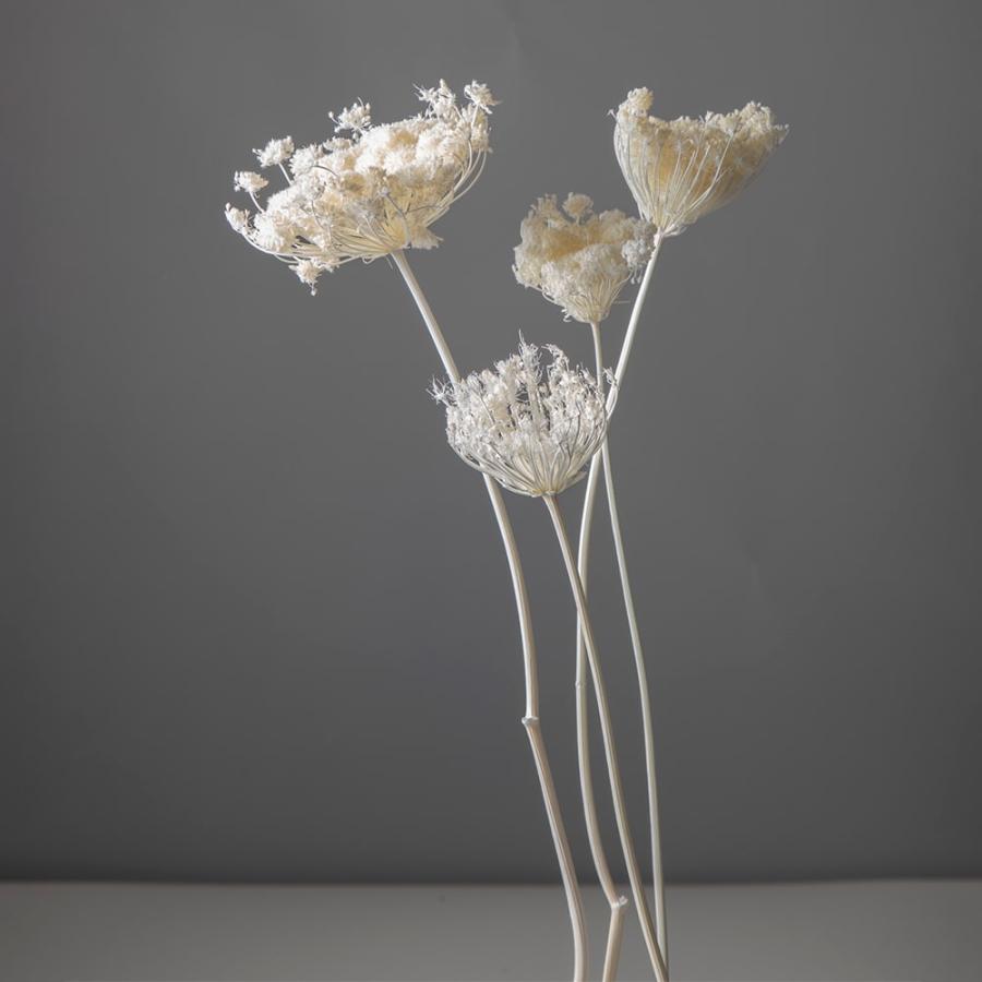 ドライフラワー 花材 即日出荷 フェンネル・大 素材 材料 パーツ 白
