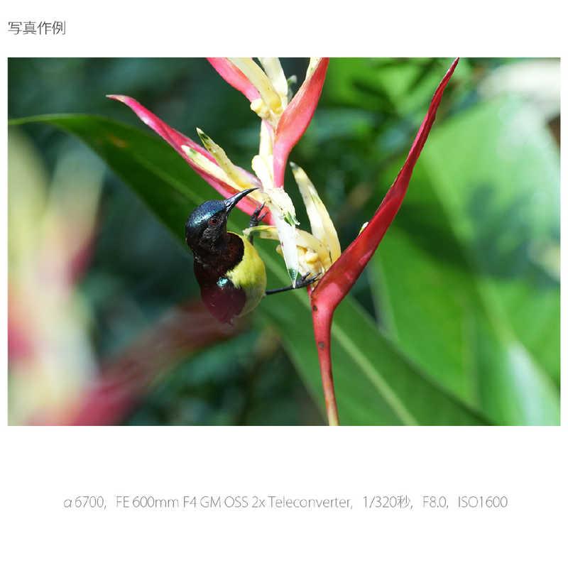 ソニー SONY ミラーレス一眼カメラ α6700 高倍率ズームレンズキット