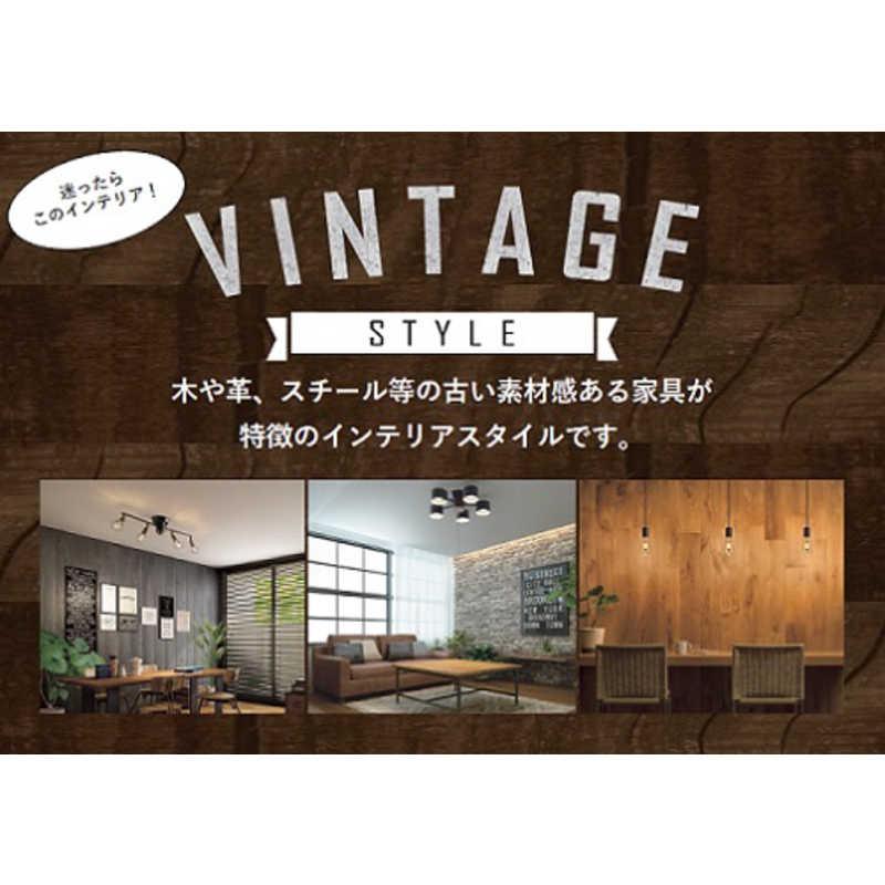 大光電機 LEDシーリングライト [12畳 /昼光色~電球色 /リモコン付属