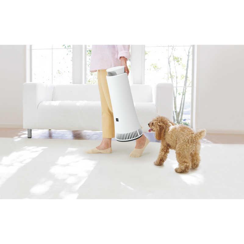 SHARP（シャープ） プラズマクラスター搭載 除菌脱臭機 ホワイト系