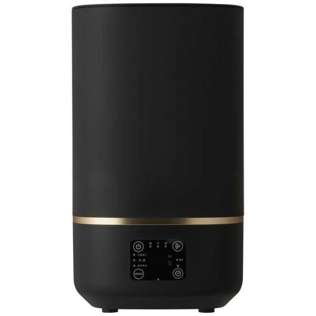 DOSHISHA（ドウシシャ） 加湿器 mistone300 DKW-2430 [ブラック