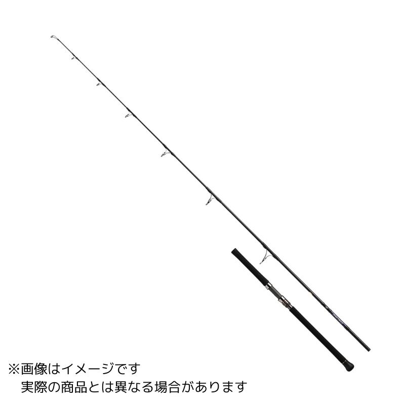 DAIWA（ダイワ） 24 ソルティガ キャスティング 73-12 【大型商品2