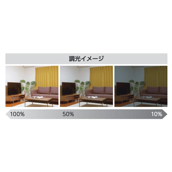 IRIS OHYAMA（アイリスオーヤマ） LEDシーリングライト CL6D-S1 昼光色