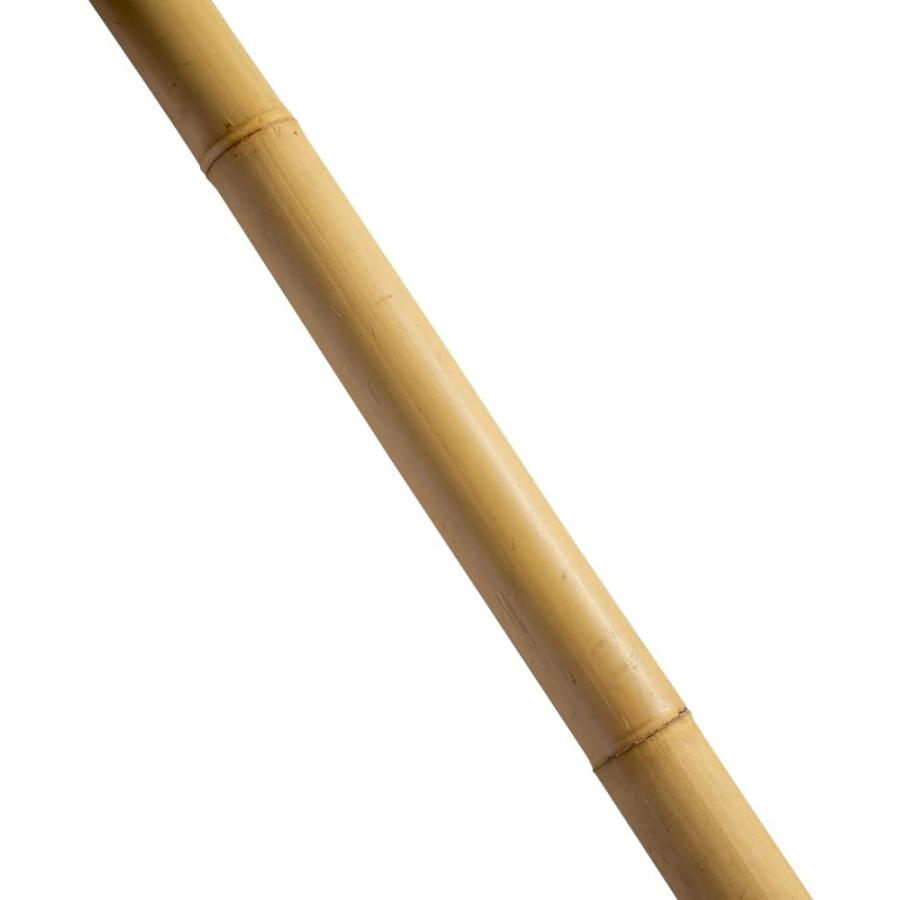 トンキンケーン 5本束 3.6m トンキン竹 トンキンバンブー バンブー