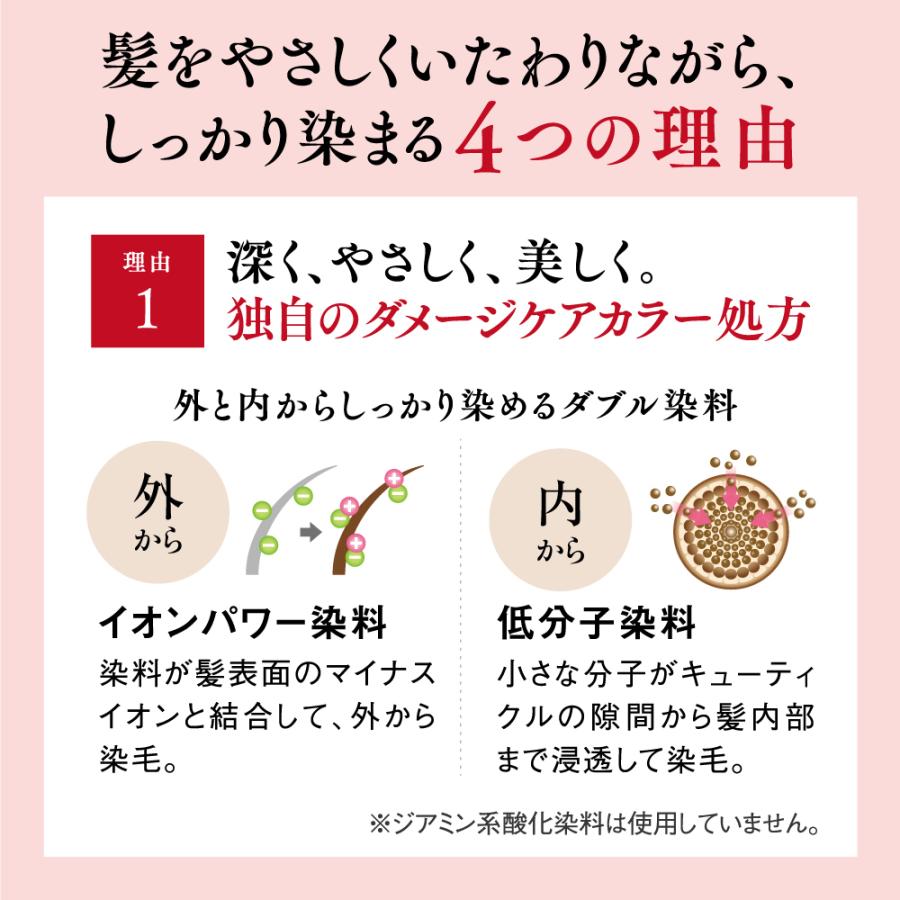 山田養蜂場 RJヘアカラートリートメント ダークブラウン 210g 白髪染め