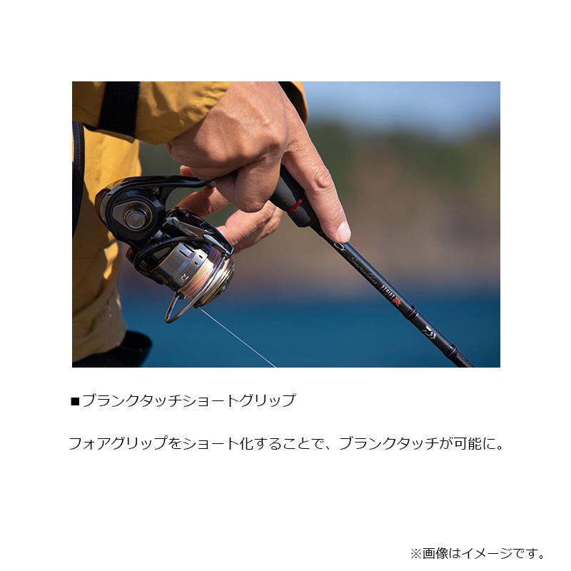 DAIWA（ダイワ） エメラルダス ストイスト RT IL 84MLM / エギング