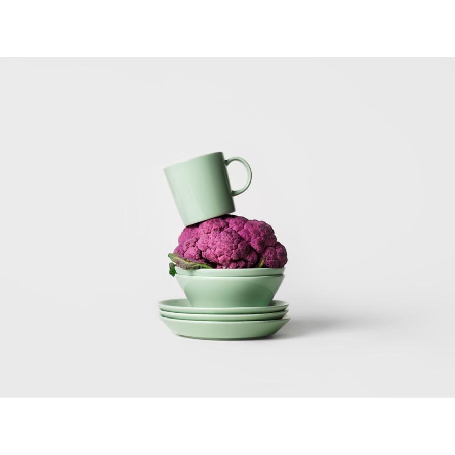 ティーマ 【正規取扱店】イッタラ iittala ボウル 15cm セージグリーン