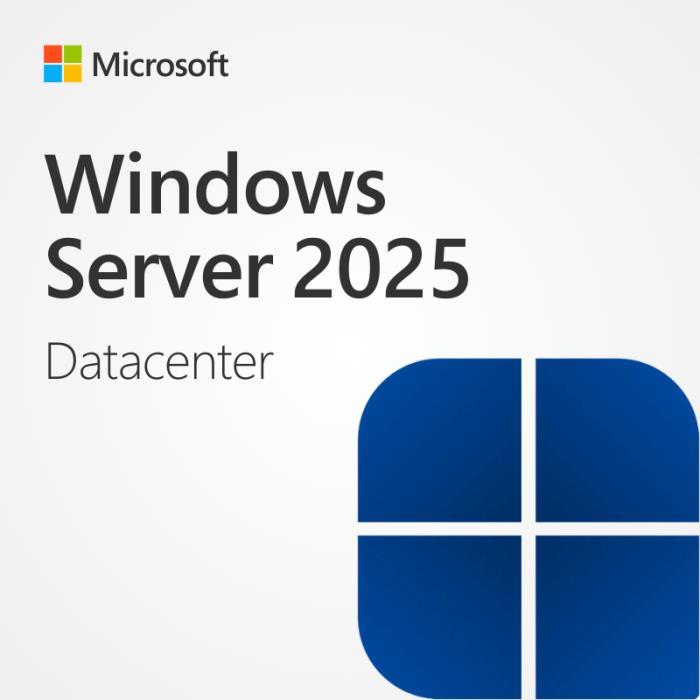 Windows Server 2025 Datacenter日本語 [ダウンロード版] / 1