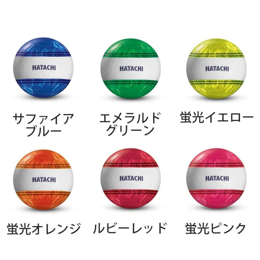 HATACHI（ハタチ） グラウンドゴルフクラブセット アルティメット