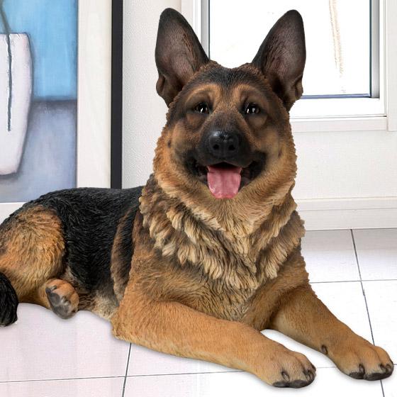 うつぶせ ジャーマンシェパード 76.5 x 38.5 41 cm (幅x奥x高) 本物