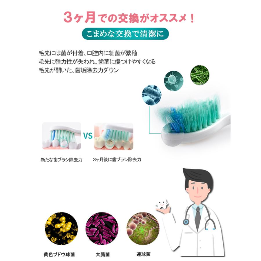 替えブラシ 選べる8本セット HX9044 HX9024 フィリップス ソニッケアー