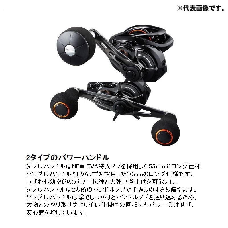 シマノ（SHIMANO） 20 ベイゲーム 301PG(左) / 両軸リール カウンター