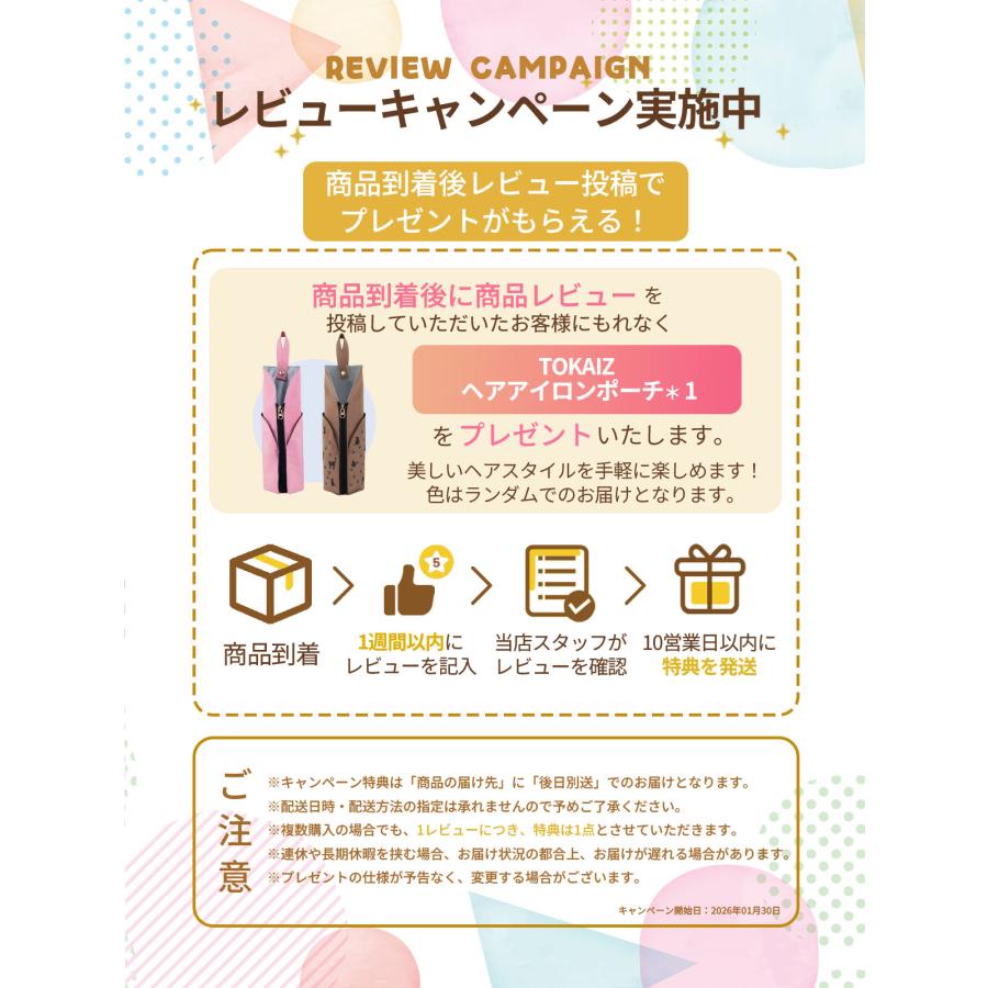 TOKAIZ（トカイズ） 公式【選べる温水×強力噴射】スチームクリーナー