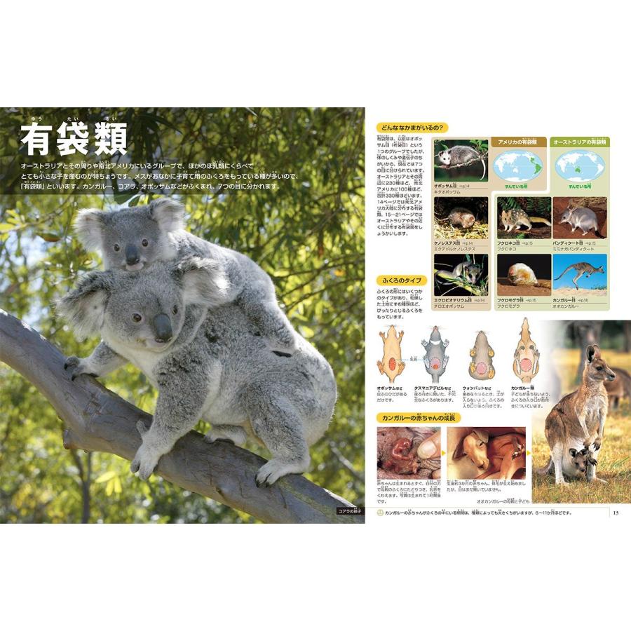 小学館の図鑑NEO［新版］動物 DVDつき（収納BOX付・送料無料・条件有