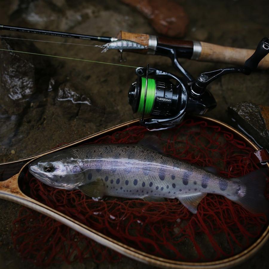 シマノ（SHIMANO） 19 ヴァンキッシュ C3000 XG / スピニングリール