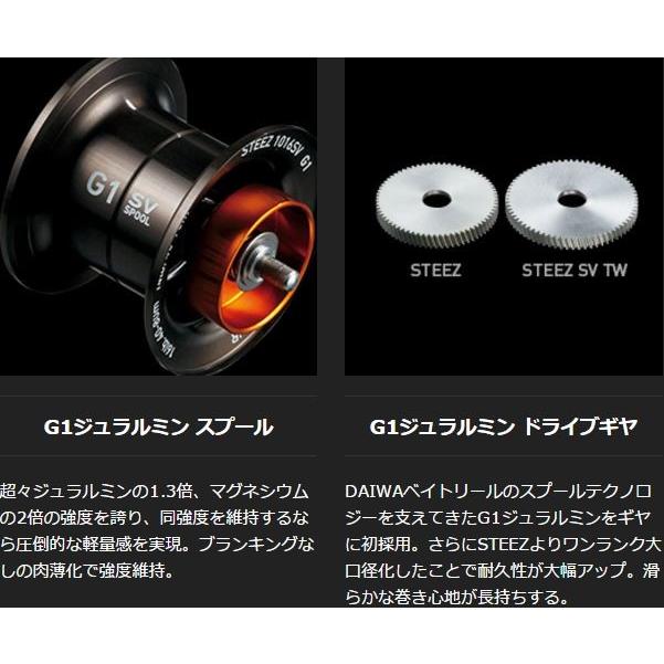 DAIWA（ダイワ） 16 スティーズ SV-TW 1016SV-SHL /ベイトリール