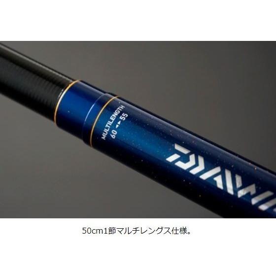 DAIWA（ダイワ） 翡翠 冴 抜硬調 70M / ひすい さえ 渓流 竿 : つり具