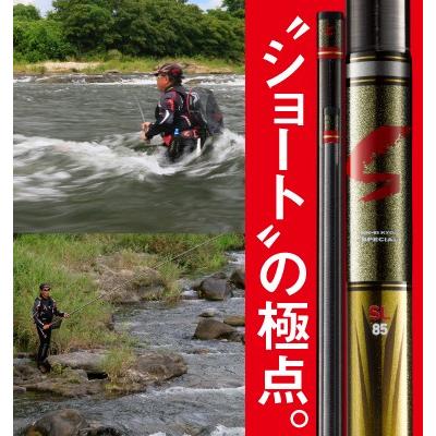 DAIWA（ダイワ） 鮎竿 銀影競技 スペシャル SL 85 : つり具の銭屋
