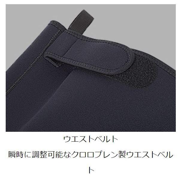 DAIWA（ダイワ） ダイワスリムウェーダー DSW-4201R 先丸 / 鮎