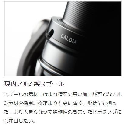 DAIWA（ダイワ） 18 カルディア LT2500-XH / CALDIA スピニングリール