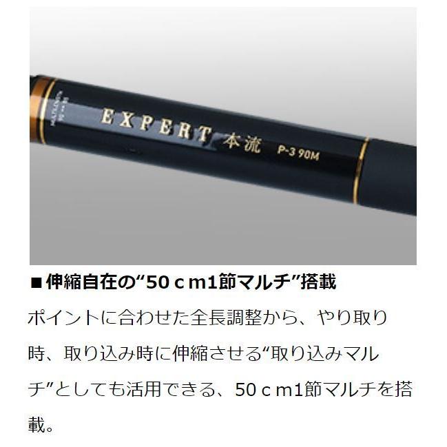 DAIWA（ダイワ） エキスパート 本流 P-1 90M・R / 渓流 竿 : つり具の
