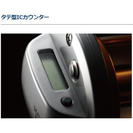 DAIWA（ダイワ） シーライン石鯛 50 : つり具の銭屋 - 通販 - Yahoo