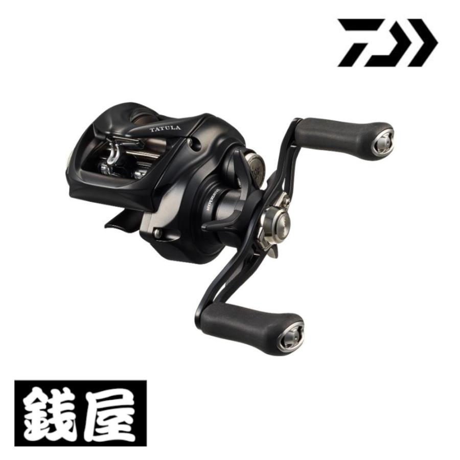 DAIWA（ダイワ） 24 タトゥーラ TW 100L : つり具の銭屋 - 通販