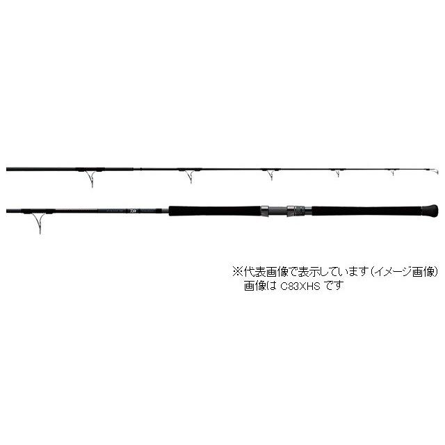 DAIWA（ダイワ） CATALINA AP C74MS ／オフショア