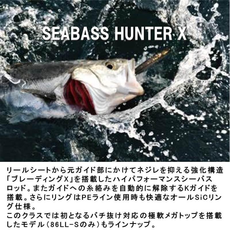 DAIWA（ダイワ） シーバスハンターX 100ML ／シーバスロッド