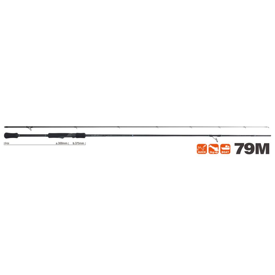 YAMAGA Blanks ヤマガブランクス メビウス 79M エギング : ルアー