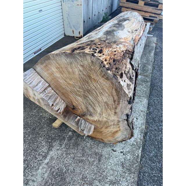 5-228 材ショ）銘木 欅けやき ケヤキ 超巨大 丸太 原木 末口930前後