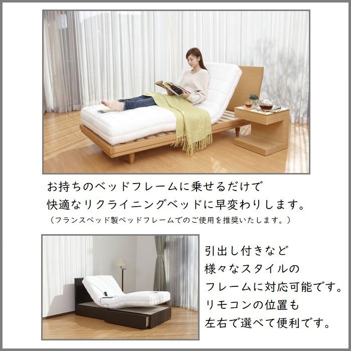 フランスベッド（FRANCEBED） RP1000W 電動マットレス M セミダブル