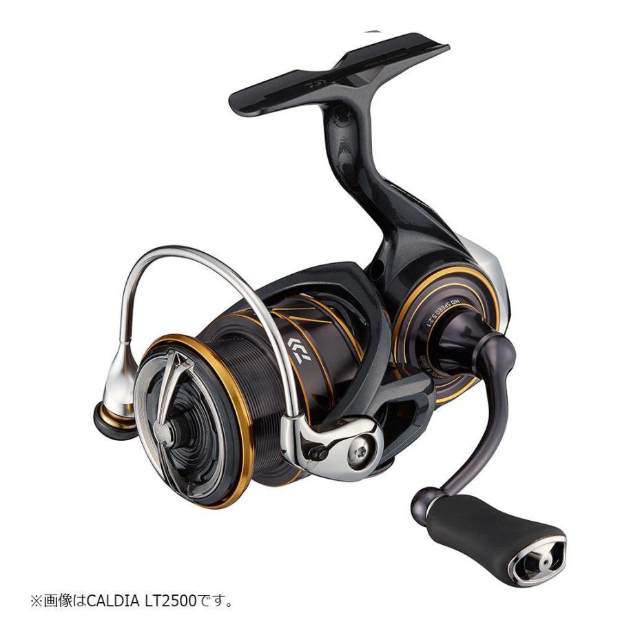DAIWA（ダイワ） 21カルディア LT3000-CXH スピニングリール : つり具