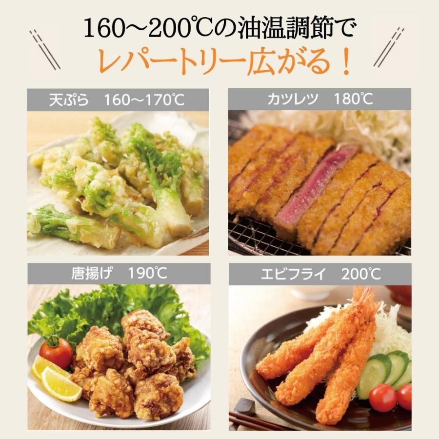 象印（ZOJIRUSHI） 電気フライヤー 家庭用 卓上フライヤー 串揚げ