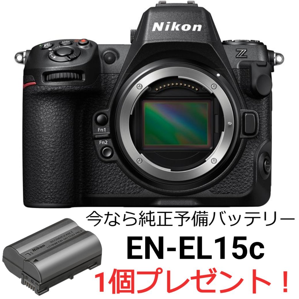パナソニック ルミックス LUMIX GF2 DMC-GF2W-K ダブルレンズキット