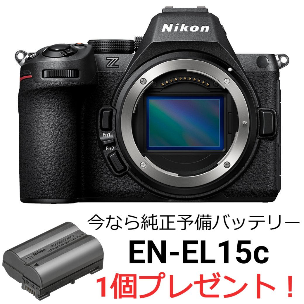 キヤノン EOS R10 ボディ EOS EOS Rシステム ミラーレス一眼カメラ