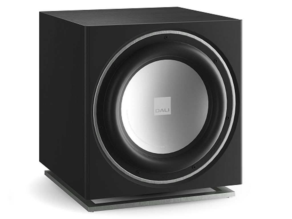 FOSTEX アクティブ・サブウーハー CW250A サブウーハー - 最安値・価格