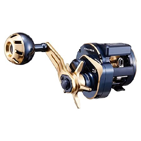 DAIWA（釣り） 23 ソルティガIC 100H-DH 釣り ベイトリール - 最安値