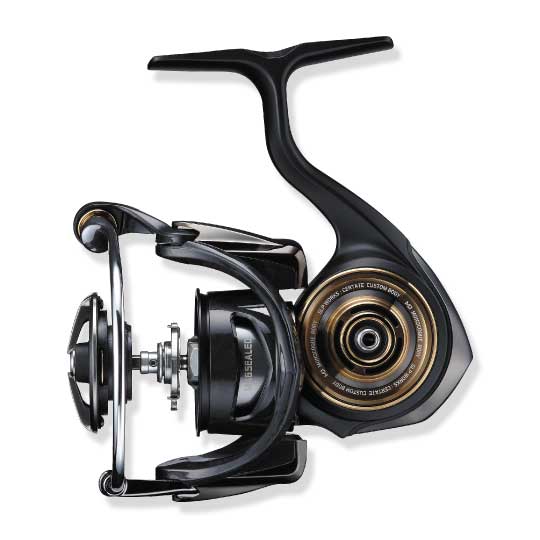 DAIWA（釣り） 19 セルテート LT5000D-CXH スピニングリール - 最安値