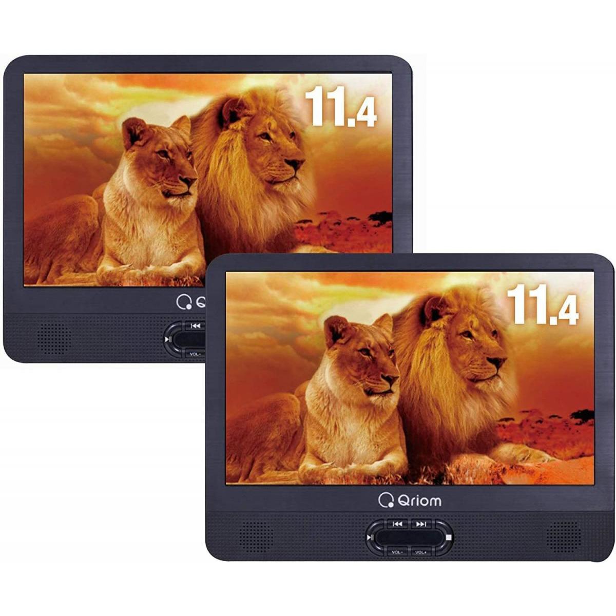 ダイニチ電子 Wizz DV-PW1400 ポータブルブルーレイ、DVDプレーヤー