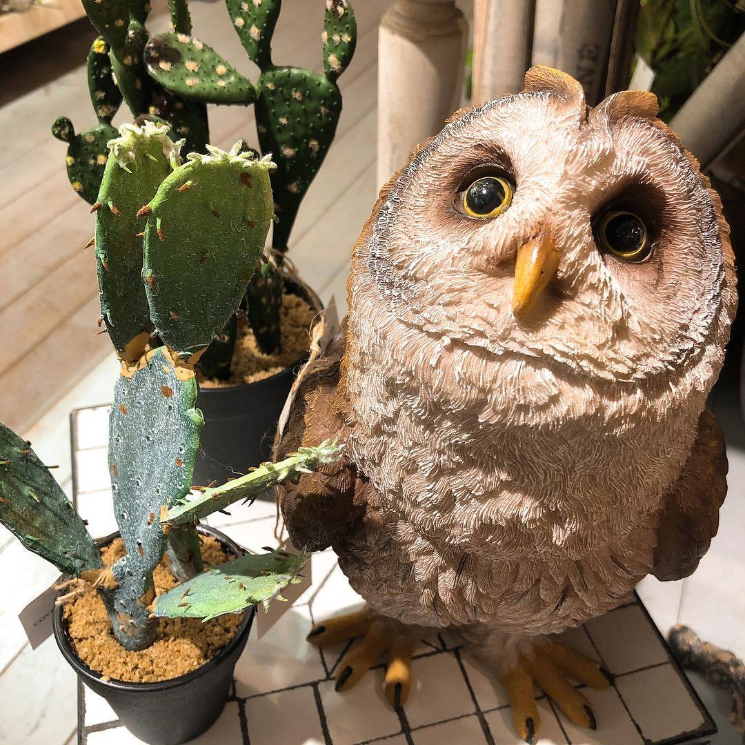 ふくろう フクロウ 梟 フクロウの置物 アンティーク 置物 おしゃれ