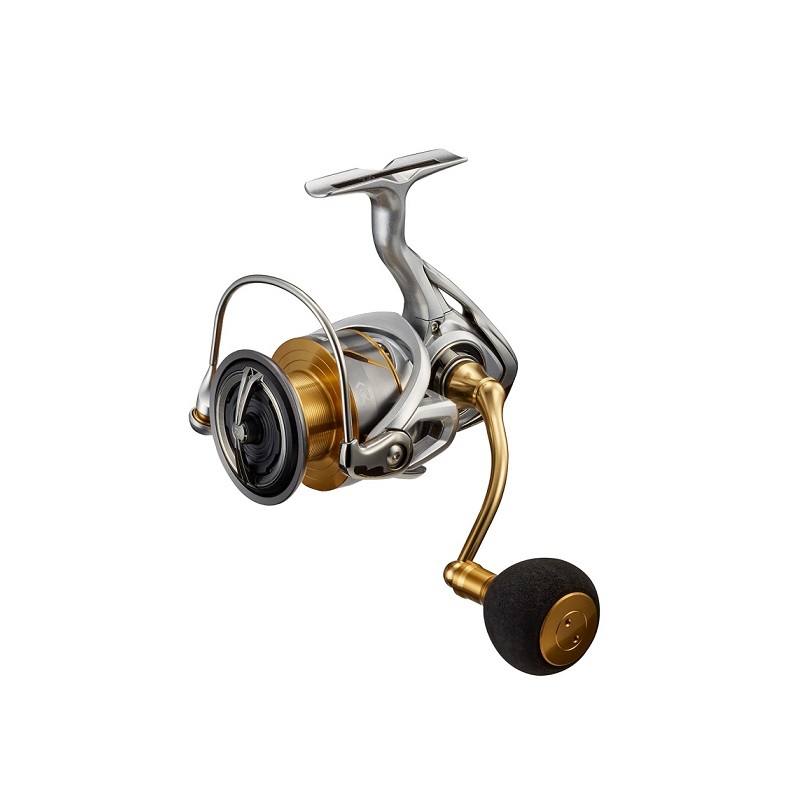 DAIWA（釣り） 21 フリームス LT5000-CXH スピニングリール - 最安値