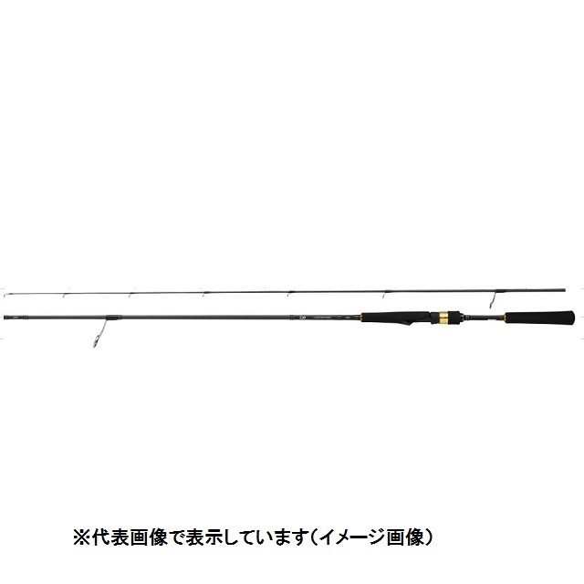 DAIWA（釣り） ラテオ ボートシーバス 63MS LATEO シーバスロッド - 最