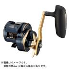 DAIWA（釣り） 21 ソルティガIC 300HL-SJ 釣り ベイトリール - 最安値