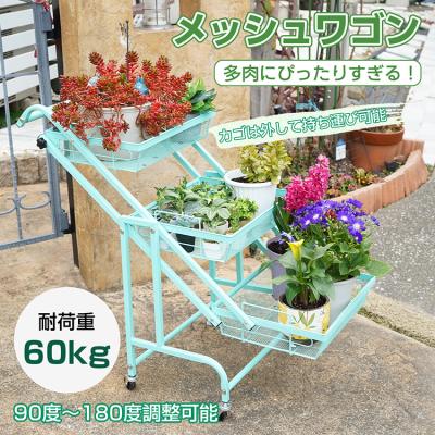 多肉植物 棚のおすすめ人気商品一覧 通販 - Yahoo!ショッピング