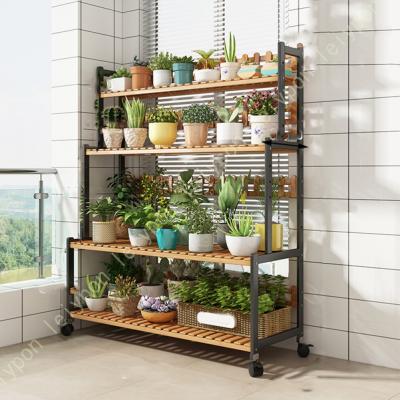 多肉 棚のおすすめ人気商品一覧 通販 - Yahoo!ショッピング