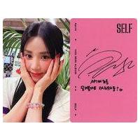 apink パクチョロンのおすすめ人気商品一覧 通販 - Yahoo!ショッピング