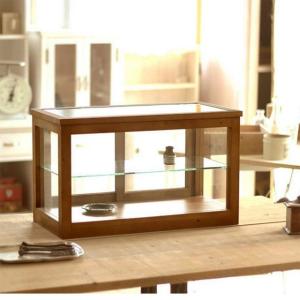 ガラスケース コレクションケース ディスプレイ ショーケース 小物入れ