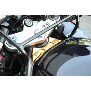 ZX-9R 98'〜03' タンクエンドプレート シルバー : Complsah Factory